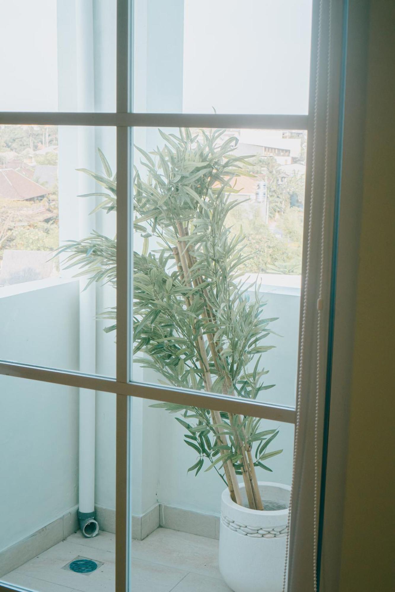 אפרטהוטל קנגו Casa Amarta Boutique Lofts & Detox מראה חיצוני תמונה